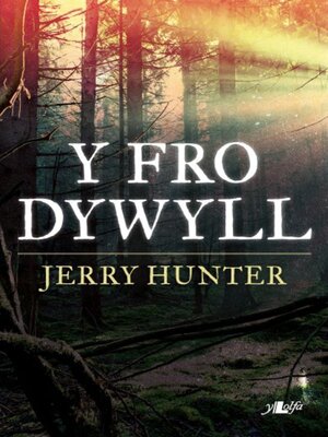 cover image of Fro Dywyll, Y